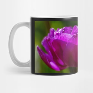 Tulip In Sunlight Mug